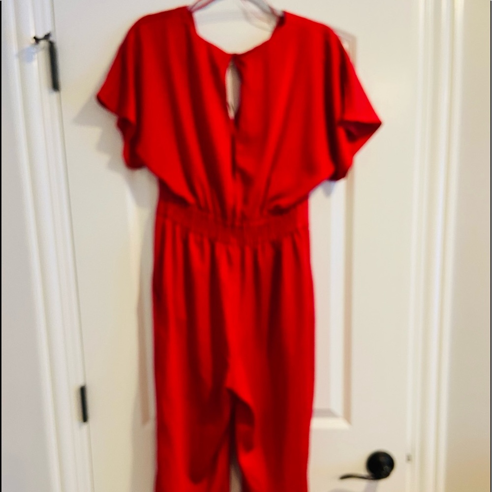Zara jumpsuit. Cut out back. Ties around ankles. NWT